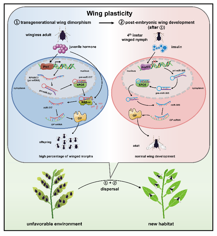 PA视讯
