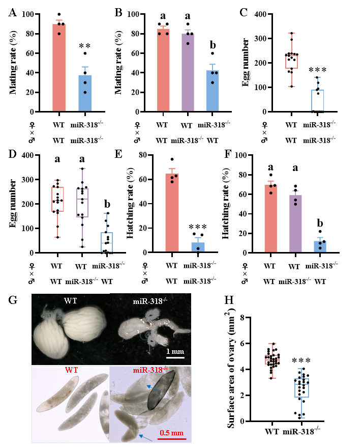 PA视讯